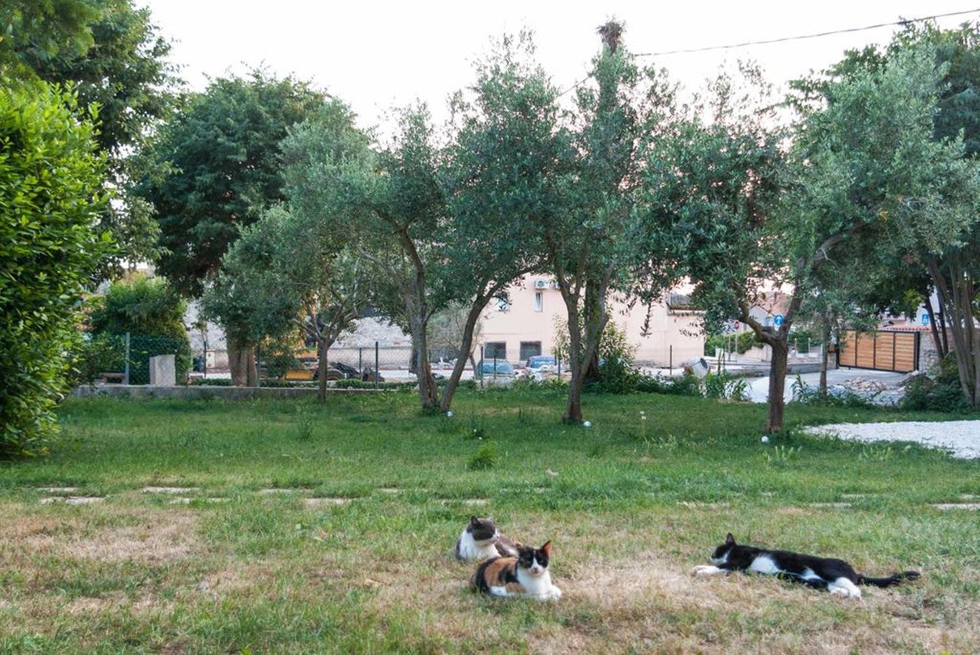 Villa Mediterranea - Apartments Medulin Szoba fotó
